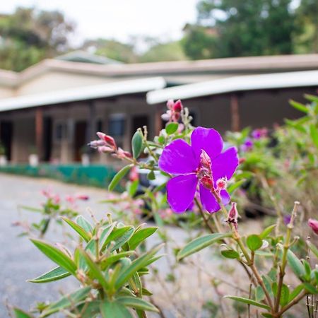 Natuera Hotel Monteverde Ngoại thất bức ảnh
