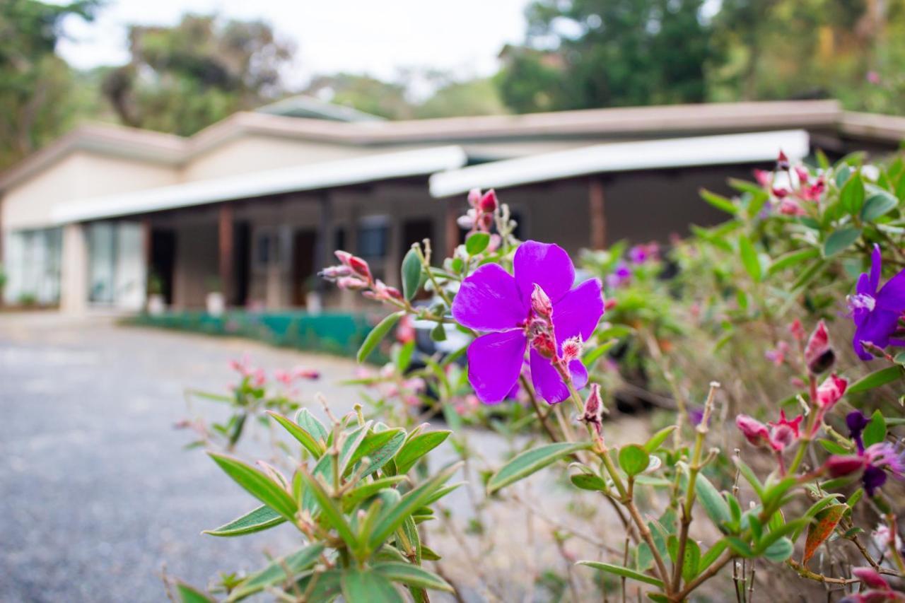 Natuera Hotel Monteverde Ngoại thất bức ảnh